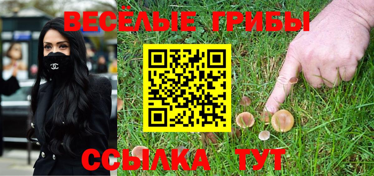 Псилоцибиновые грибы Magic Shrooms Уварово