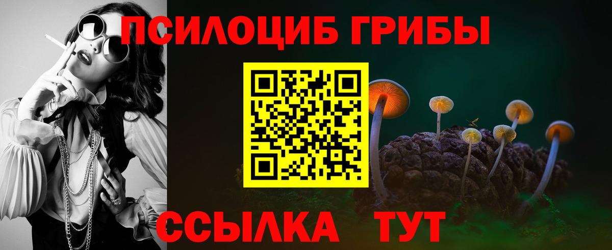 Галлюциногенные грибы Psilocybe  Вход с VPN  Уварово 